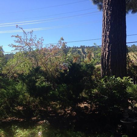 Switzerland Haus Bed And Breakfast Inn Big Bear Lake Exteriör bild